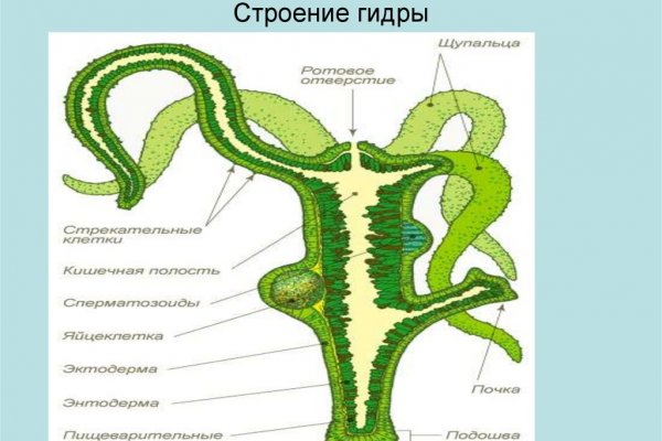 Kraken зеркало kr2web in