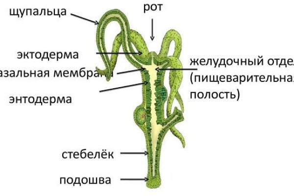 Аутентификатор кракен